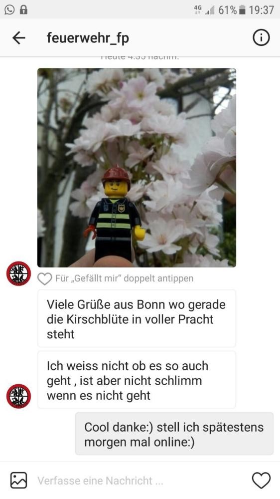 Screenshot von Chat zu Foto Legofigur vor Kirschblüte; Bonn